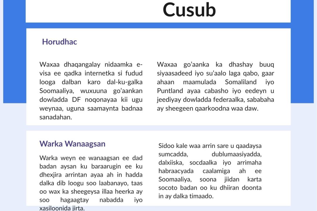 e visa iyo ibo fur wanaagsan